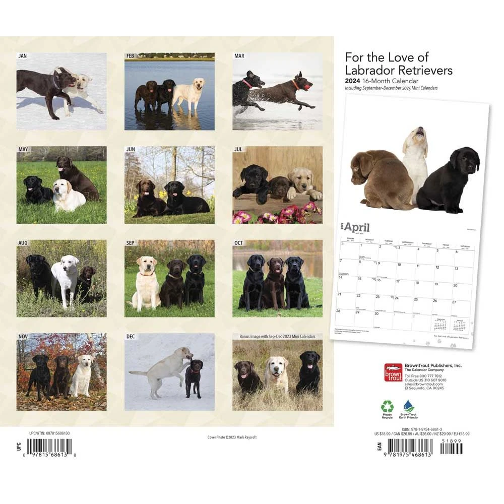 Lab Retriever Deluxe 2024 Wall Calendar 4 Lab Retriever Deluxe 2024 Wall Calendar - Image 2