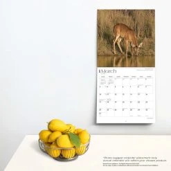 Texas Nature 2024 Wall Calendar -Calendars Sales Store 2dd3d1d5 dd1f 442e b863 9c1ef969caa9