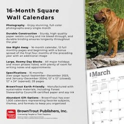 Shar-Pei 2024 Wall Calendar -Calendars Sales Store 306e3857 0201 4ea1 aba5 efdca3b76ab2