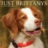 Just Brittanys 2024 Wall Calendar -Calendars Sales Store 312c1c04 eaeb 40c0 a148 cce650854b37