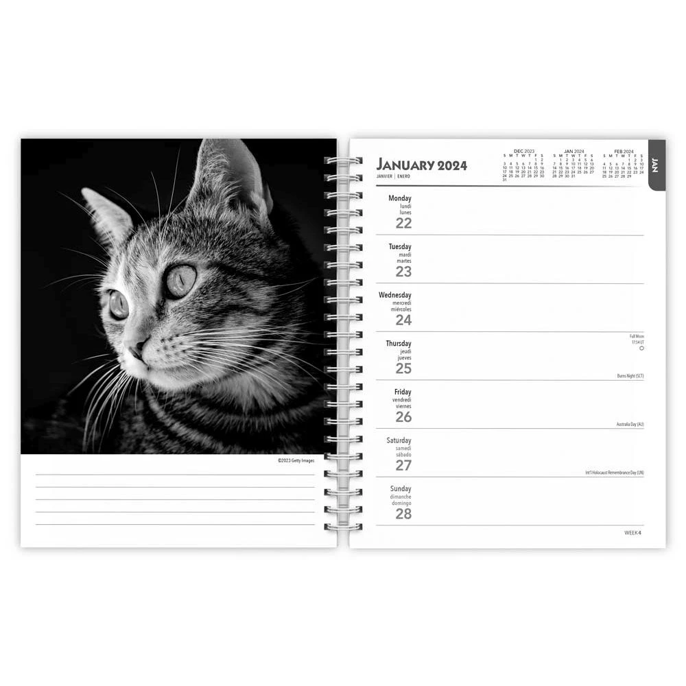 Regal Cat Portrait 2024 Wall Calendar 4 Regal Cat Portrait 2024 Wall Calendar - Image 2