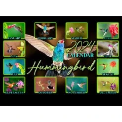 Hummingbird 2024 Wall Calendar -Calendars Sales Store 31fdf80b e7f5 4f62 84cd ca7ab8c3b483