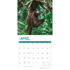 Costa Rica 2024 Wall Calendar -Calendars Sales Store 329faff5 1629 47f1 8b67 4bc630c20e9b