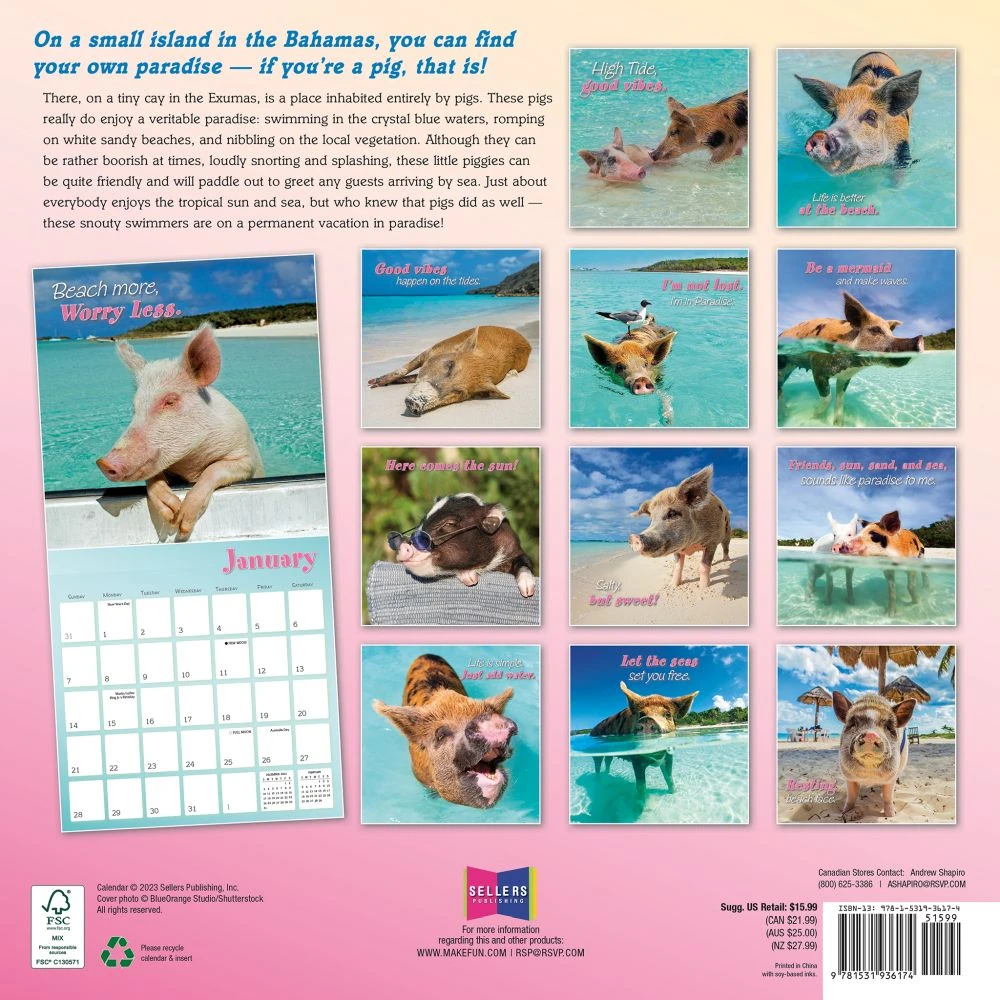 Pigs In Paradise 2024 Wall Calendar 4 Pigs In Paradise 2024 Wall Calendar - Image 2