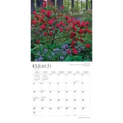 Delaware 2024 Wall Calendar -Calendars Sales Store 33aac19e 2dd8 416b a4a9 91dfe916109b