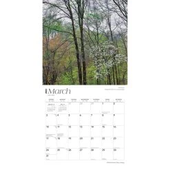 New Jersey Wild And Scenic 2024 Wall Calendar -Calendars Sales Store 342609ee 6d23 4146 a611 11e375feb83d