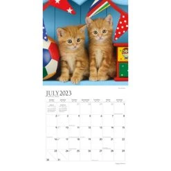 Happy Kittens 2024 Wall Calendar -Calendars Sales Store 34c23b56 f25d 40f7 a4eb 2a8a3f0f835f