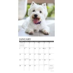 Just Westies 2024 Wall Calendar 9 Just Westies 2024 Wall Calendar -Calendars Sales Store 34e5def1 28cf 4fc5 ab5e 4cdb487f03ab