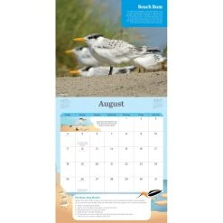 Audubon Kids Birding 2024 Wall Calendar -Calendars Sales Store 362eff93 88a5 4238 a84c 655a2ccff589