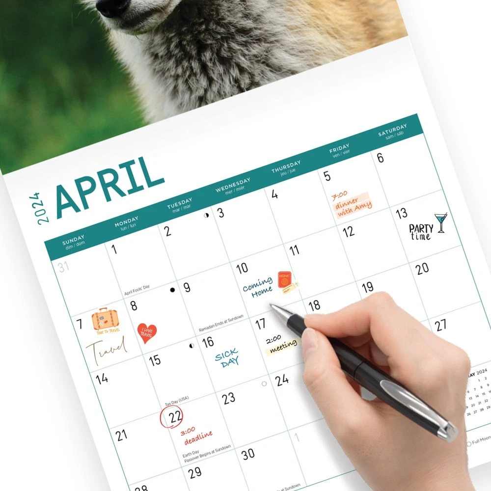 Foxes 2024 Wall Calendar 7 Foxes 2024 Wall Calendar - Image 5