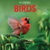 Birds 2024 Wall Calendar
