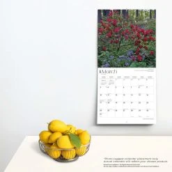 Delaware 2024 Wall Calendar -Calendars Sales Store 389b2af4 ee19 46c5 9b5a 5bb68d63bcfb
