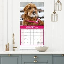 All Mixed Up! 2024 Wall Calendar 21 All Mixed Up! 2024 Wall Calendar -Calendars Sales Store 38ef64f1 6006 4715 b617 a1f5fbebe6f9