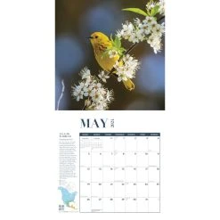 Birds Feathered Friends 2024 Wall Calendar 8 Birds Feathered Friends 2024 Wall Calendar -Calendars Sales Store 39c90b35 f0cd 4b0b b6a9 ebb0d8c6ce66