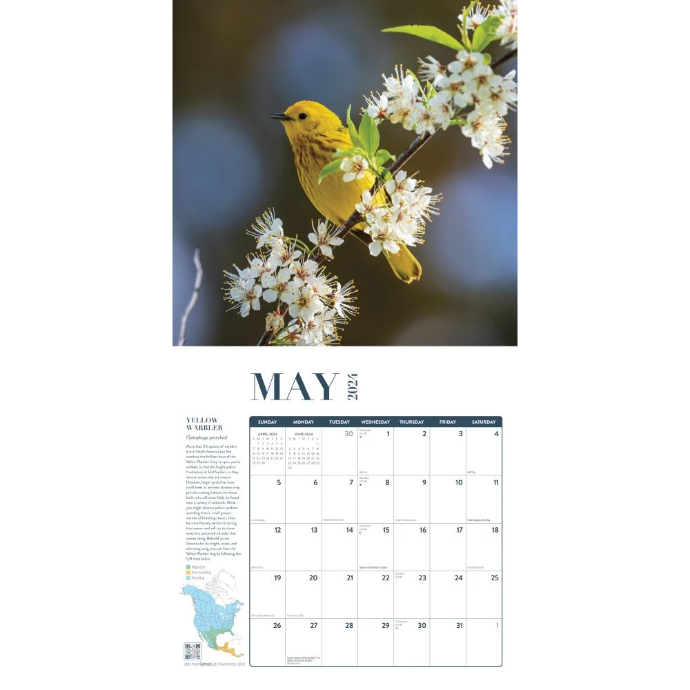 Birds Feathered Friends 2024 Wall Calendar 5 Birds Feathered Friends 2024 Wall Calendar - Image 3
