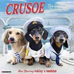 Crusoe The Celebrity Dachshund 2024 Wall Calendar