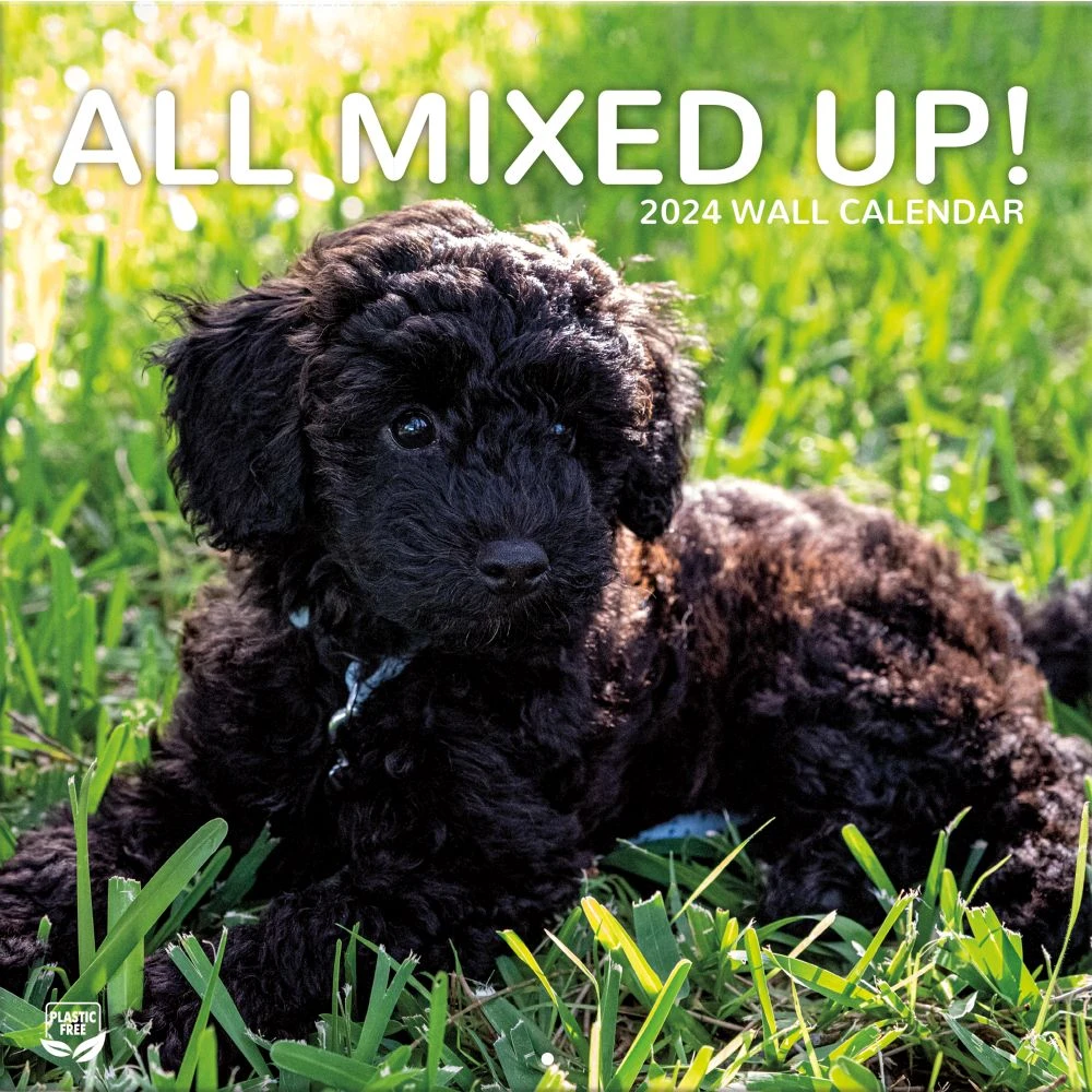 All Mixed Up! 2024 Wall Calendar 3 All Mixed Up! 2024 Wall Calendar