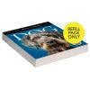 Dog Gallery 2024 Desk Calendar Refill Pack -Calendars Sales Store 3c166158 14b0 4d2b addf eddb680fb0b7