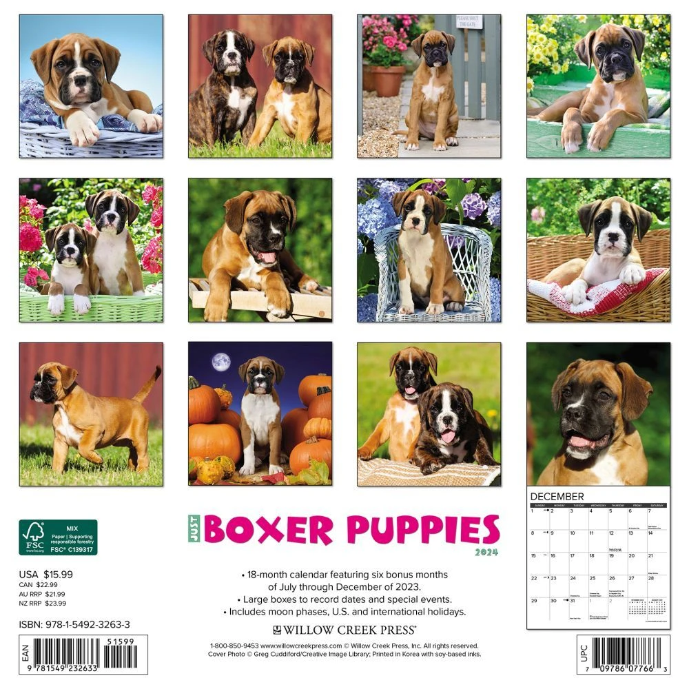 Just Boxer Puppies 2024 Wall Calendar 4 Just Boxer Puppies 2024 Wall Calendar - Image 2