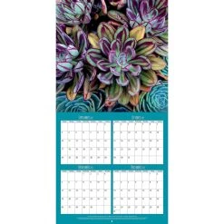 Succulents Photo 2024 Wall Calendar -Calendars Sales Store 3c488a2a d672 4f96 aaea 56624311e727