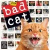 Bad Cat 365 Days 2024 Wall Calendar -Calendars Sales Store 3c6d43a2 559d 4a8b a5a3 5f843aaa63f2