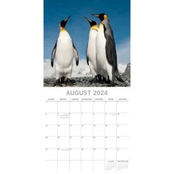 Penguins 2024 Wall Calendar -Calendars Sales Store 3ce569af c374 4c0c 84a6 65a708d93788