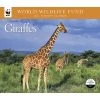 Giraffes WWF 2024 Wall Calendar 2 Giraffes WWF 2024 Wall Calendar -Calendars Sales Store 3d949c4d 4165 4711 a48a 4ccc5f7f5cf3