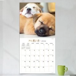 Dog Dreams 2024 Wall Calendar -Calendars Sales Store 3d9b350b 185f 44ac bc20 0bd4a892fde8