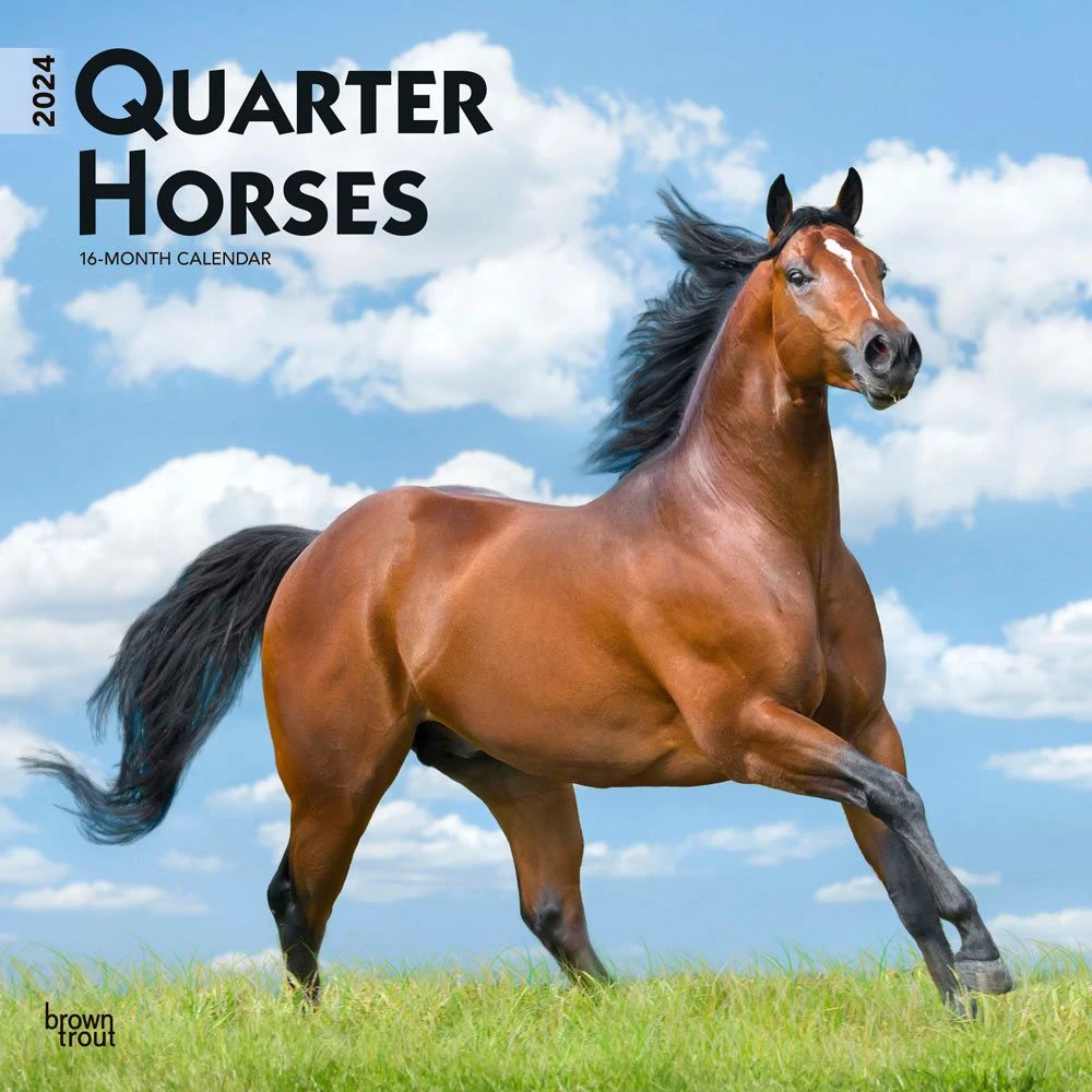 Horses Quarter 2024 Wall Calendar 3 Horses Quarter 2024 Wall Calendar