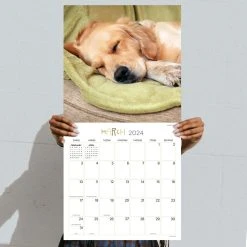 Dog Dreams 2024 Wall Calendar -Calendars Sales Store 3e42da56 bfed 4f32 a132 ca52286cf91f