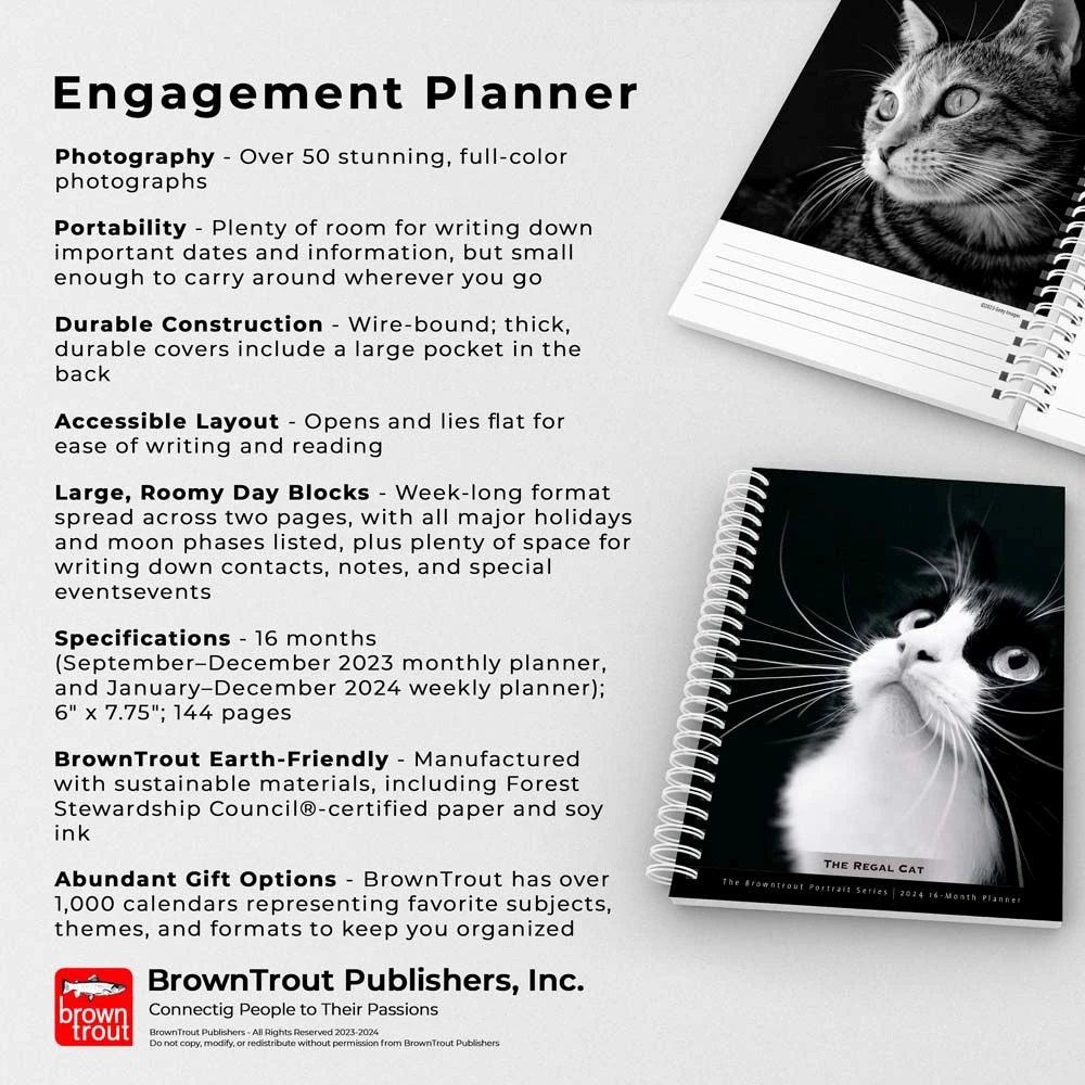 Regal Cat Portrait 2024 Wall Calendar 6 Regal Cat Portrait 2024 Wall Calendar - Image 4