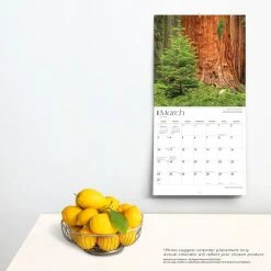 California National Parks 2024 Wall Calendar -Calendars Sales Store 3e6e3cf9 ef5f 42ec 83d2 e859d5841629