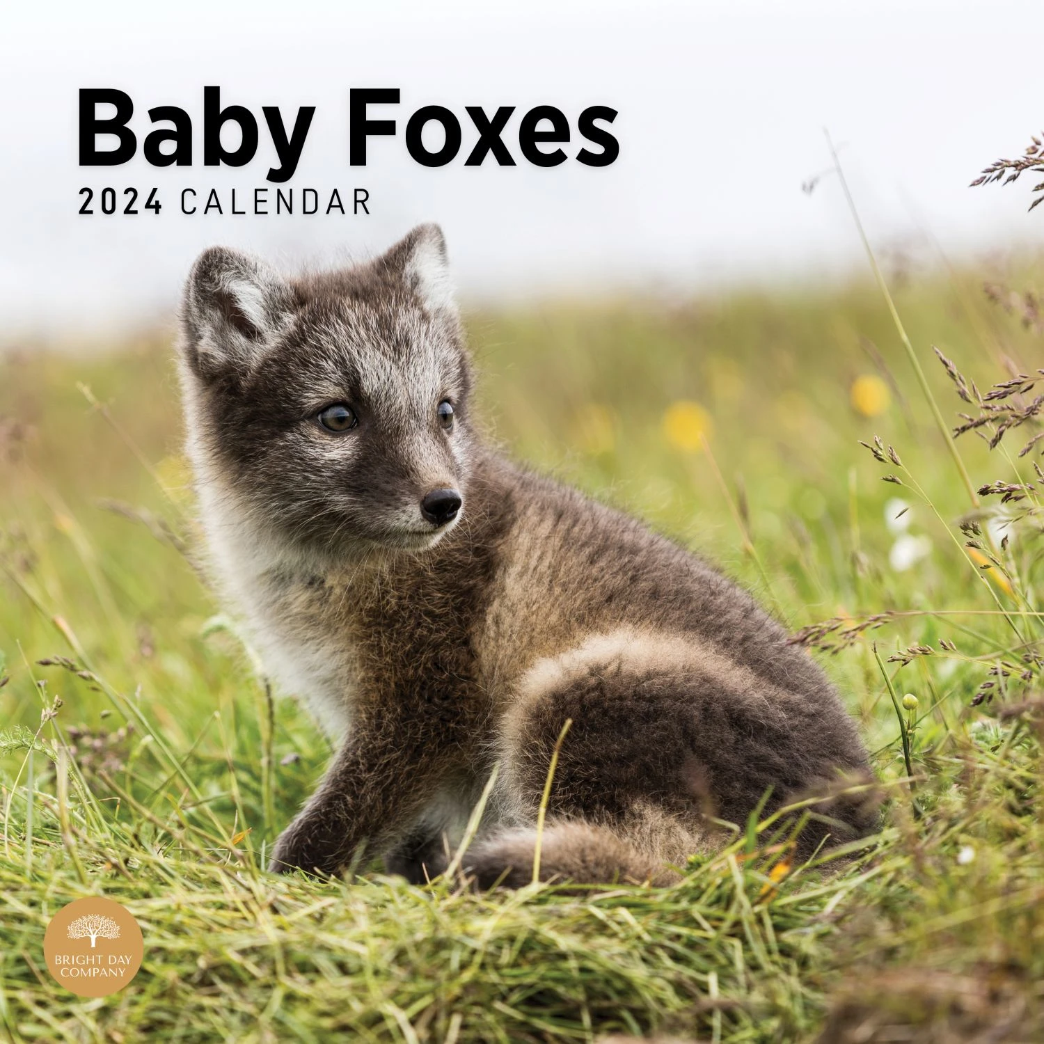 Baby Foxes 2024 Wall Calendar 3 Baby Foxes 2024 Wall Calendar