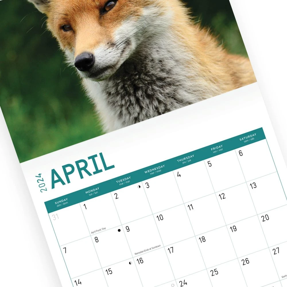 Foxes 2024 Wall Calendar 6 Foxes 2024 Wall Calendar - Image 4