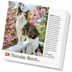 365 Cats 2024 Page-A-Day Desk Calendar -Calendars Sales Store 3fdd00ed b424 4a77 8010 ed5601001156
