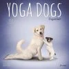 Yoga Dogs Together 2024 Wall Calendar -Calendars Sales Store 3ff13952 c8de 4c60 b9fa 9e399ec15fa1