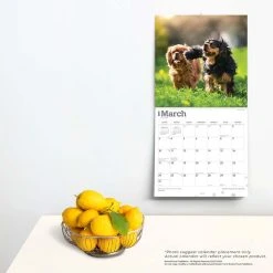 Cavalier King Charles 2024 Wall Calendar -Calendars Sales Store 3ff9f3c3 00a0 44e4 80de 565de87095e8