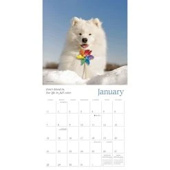 Dogma 2024 Wall Calendar -Calendars Sales Store 402fef5c 4a58 4f00 b789 1d04f2404e4f