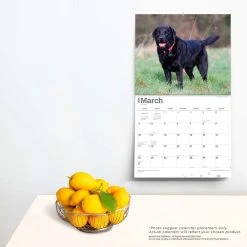 For The Love Of Labrador Retrievers 2024 Wall Calendar -Calendars Sales Store 40c09dd4 573c 4bde 9db2 7dcdb011d4be