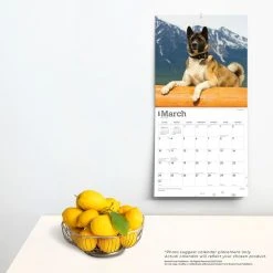 Akitas 2024 Wall Calendar -Calendars Sales Store 40fb4635 5326 417b 9276 f534160d6261