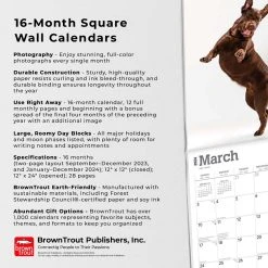 Chocolate Lab Retriever 2024 Wall Calendar -Calendars Sales Store 410d8961 d6ec 45b9 9a11 10cac2e7599a
