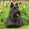 Just Scotties 2024 Wall Calendar -Calendars Sales Store 41add12b cffa 42f2 9304 b7eadc8a5da3
