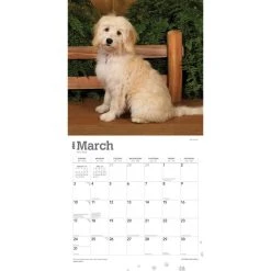 Goldendoodles 2024 Wall Calendar -Calendars Sales Store 42882aa2 23c7 40a5 8615 5c3eca4ed697