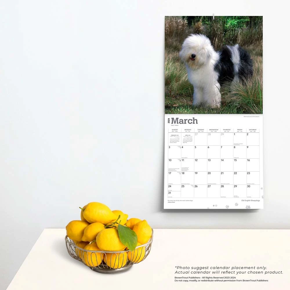 Old English Sheepdogs 2024 Wall Calendar 6 Old English Sheepdogs 2024 Wall Calendar - Image 4