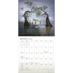 Mark Nepo 2024 Wall Calendar 11 Mark Nepo 2024 Wall Calendar -Calendars Sales Store 433ed326 21a6 4ed7 9e21 566c3bd658f5