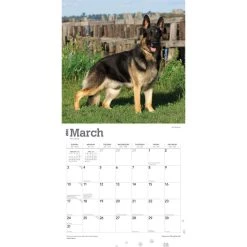 German Shepherds 2024 Wall Calendar 12 German Shepherds 2024 Wall Calendar -Calendars Sales Store 437d0884 73f3 4666 9ca2 f51cbe6dfeae