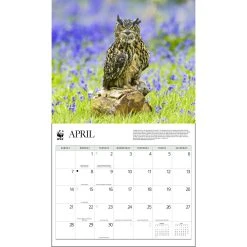 Owls WWF 2024 Wall Calendar -Calendars Sales Store 44dc8c19 14e8 4344 a57d 5d55721cc5ce