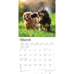 Cavalier King Charles 2024 Wall Calendar -Calendars Sales Store 455dcd7d f3e9 49d6 aaca 1c4f2bcccf2c