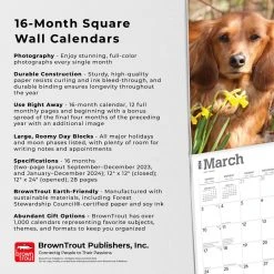 Miniature Dachshund 2024 Wall Calendar 14 Miniature Dachshund 2024 Wall Calendar -Calendars Sales Store 45ab9e53 c4a4 46cb aa04 0e9128cca52d