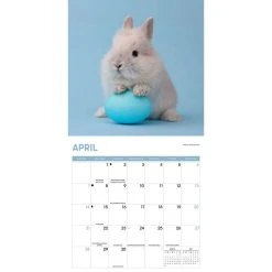 Rabbits 2024 Wall Calendar -Calendars Sales Store 45e9b82b fe4c 435d ab22 9186dc8e7ae1
